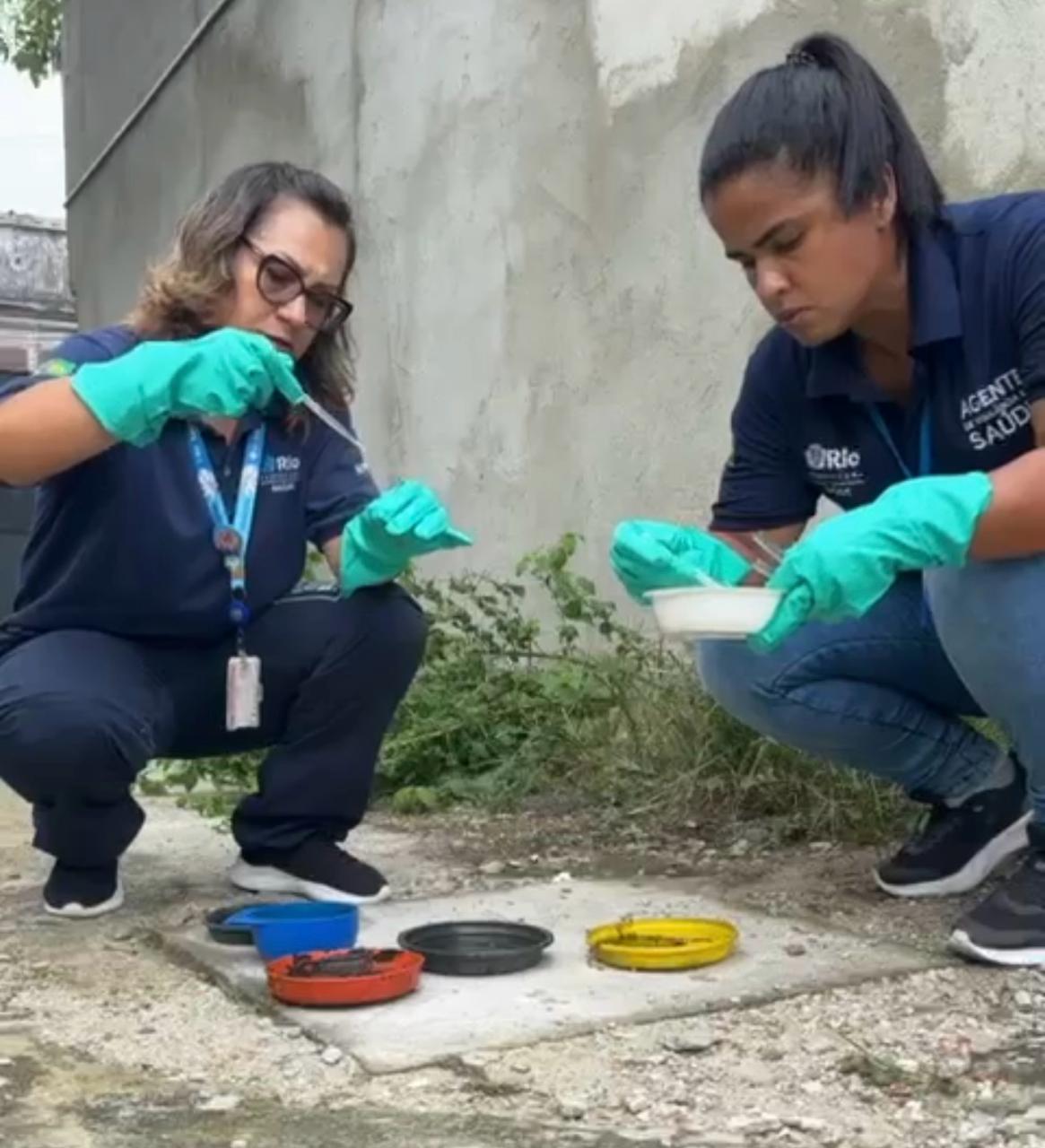 Vigilância em ação